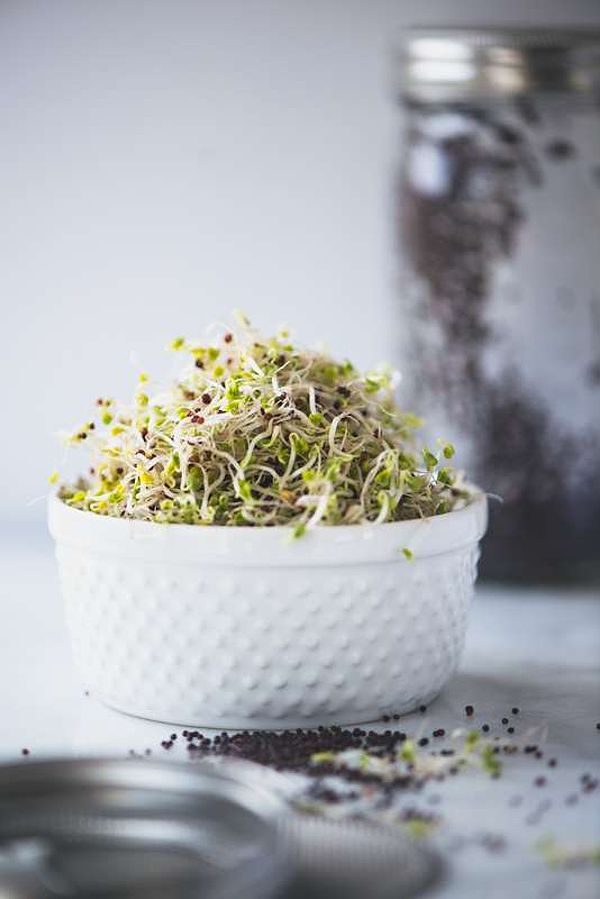 A Simple And Healthy Way To Boost Your Nutrition: How To Grow Broccoli Sprouts At Home