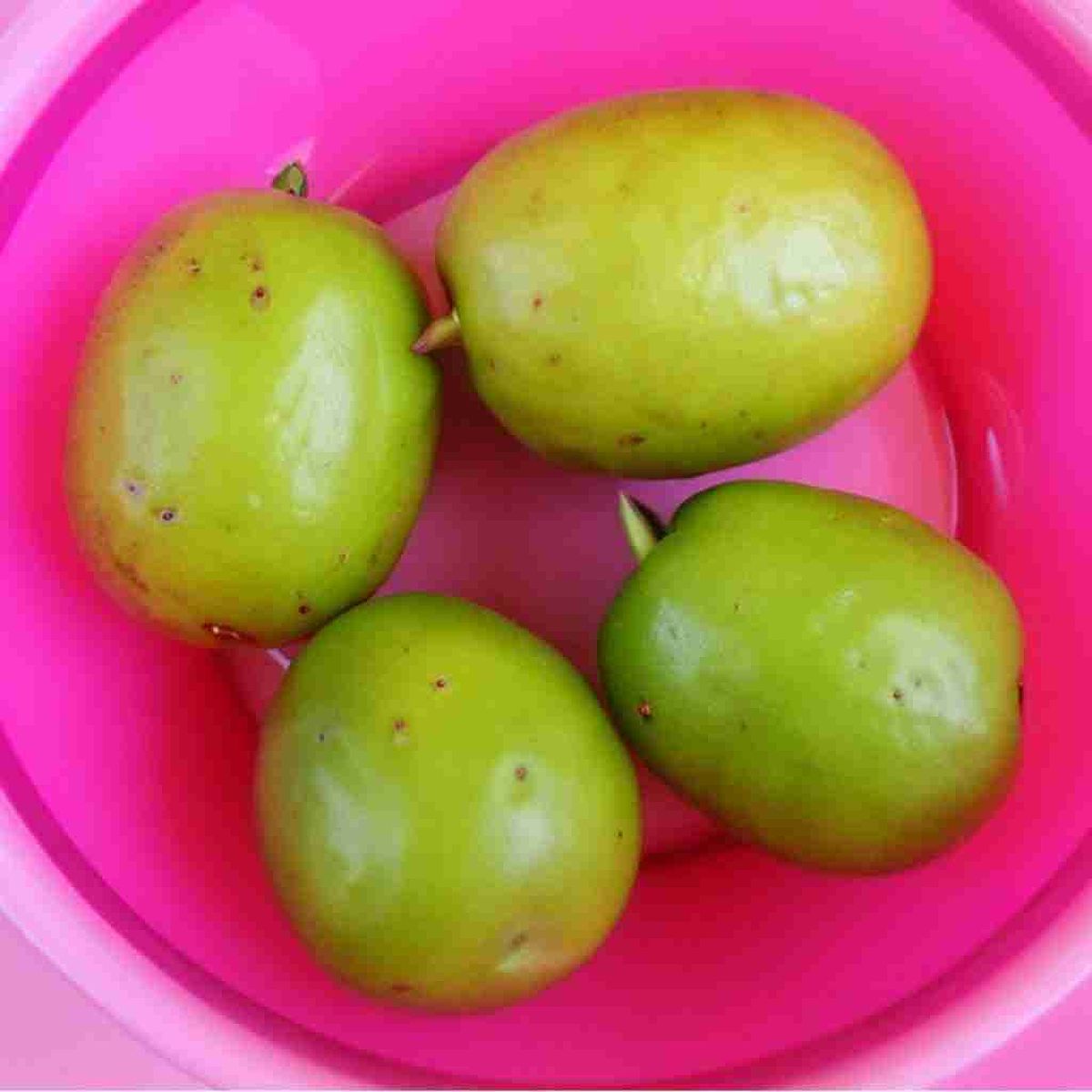 Fresh monk fruit in a pink bowl