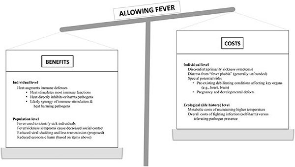 Letting fever run its course—benefits and risks