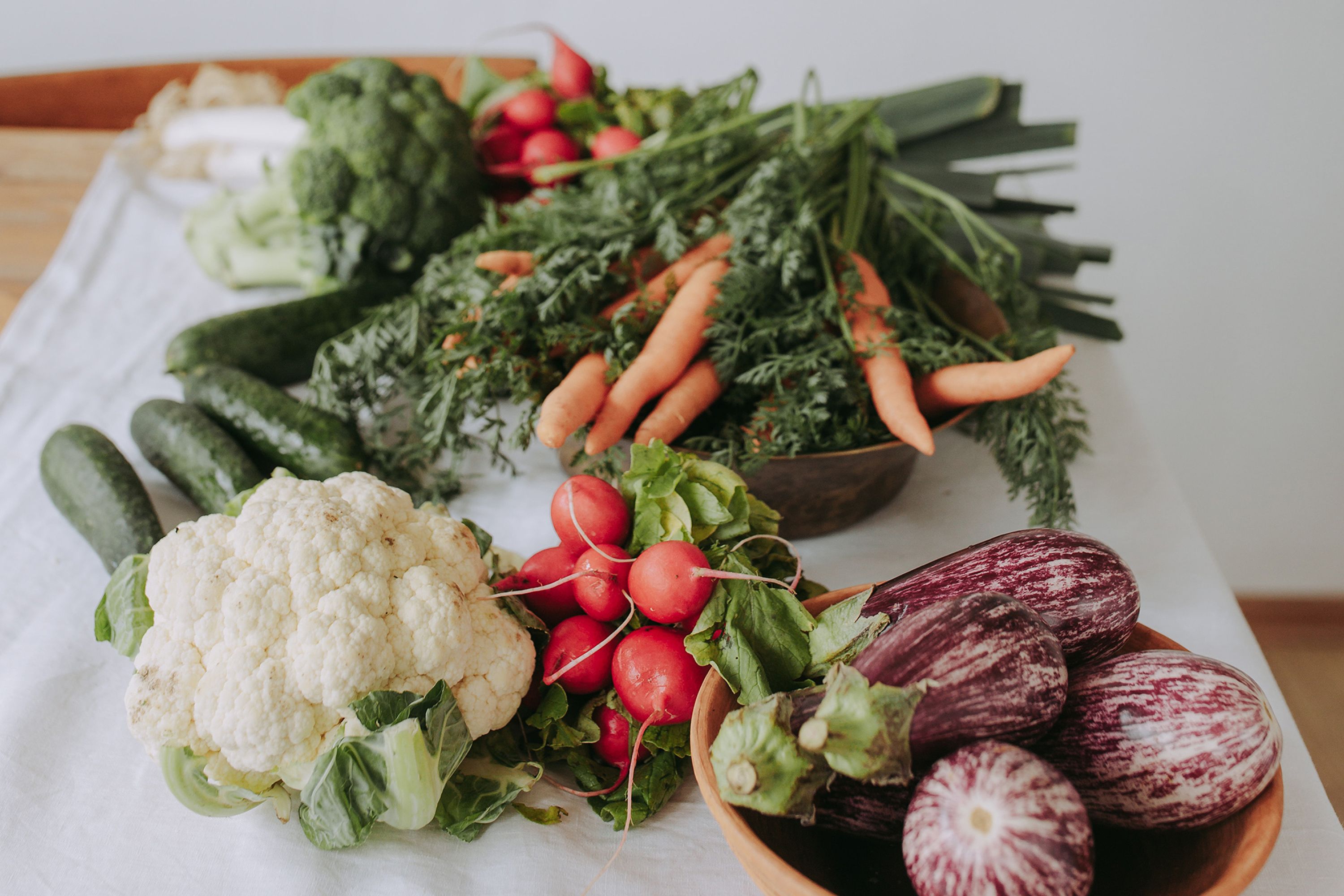 Variety of fresh vegetables for a healthy diet